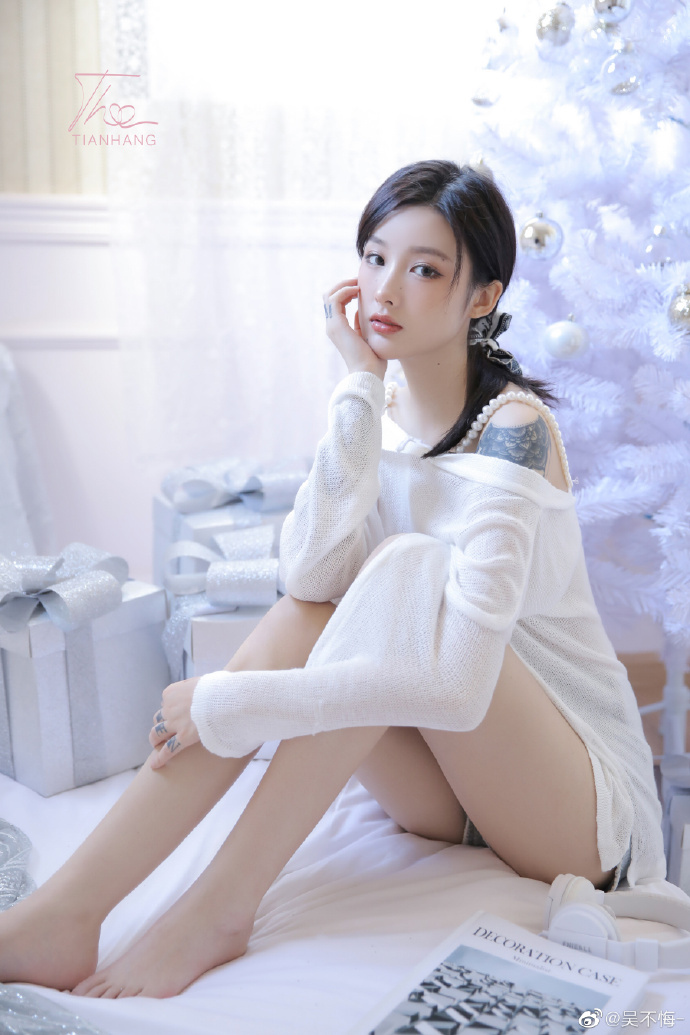 阿甘正传 封面